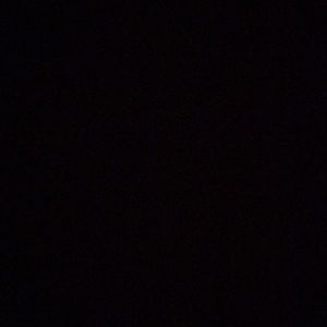 Meet your Posher, Shaniya